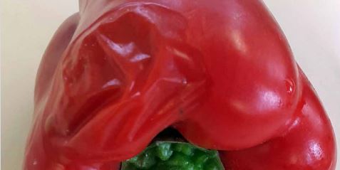 Bacterial soft spot on pepper